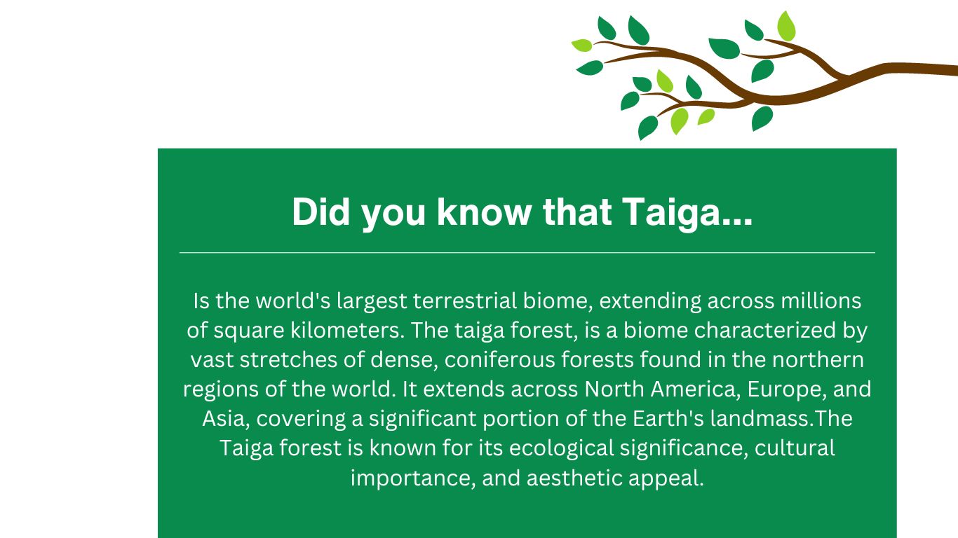 Taiga Tree Service