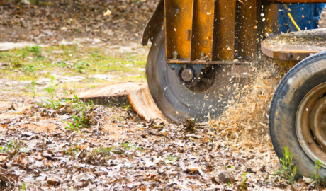 Stump Grinding's